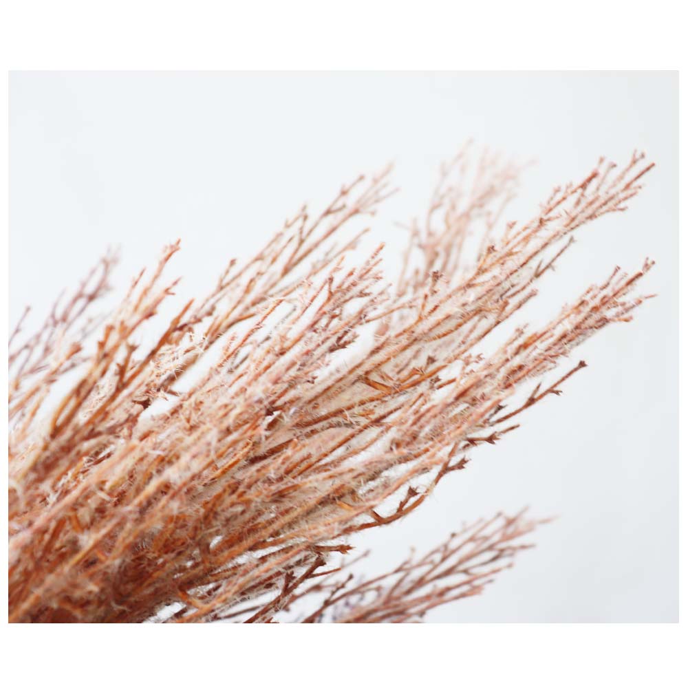 ススキ 造花 フェイクグリーン 飾り付け インテリア ディスプレイ 秋・冬 カラー:ブラウン