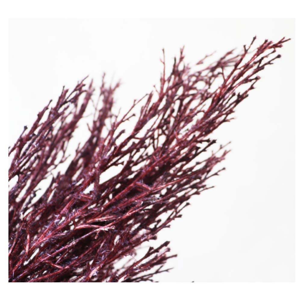 ススキ 造花 フェイクグリーン 飾り付け インテリア ディスプレイ 秋・冬 カラー:レッドブラック