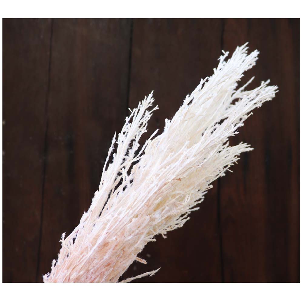 ススキ 造花 フェイクグリーン 飾り付け インテリア ディスプレイ 秋・冬 カラー:ホワイト