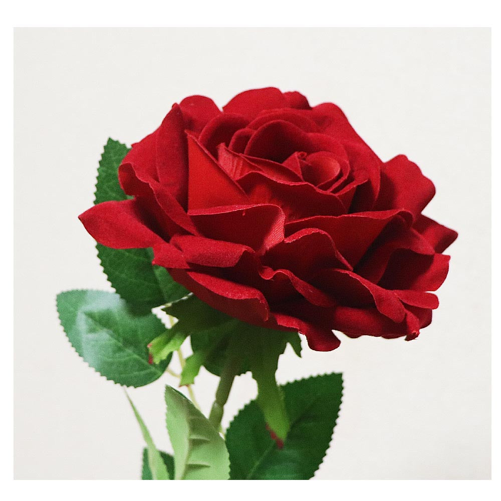 大きなバラの造花 薔薇 バラ 造花 1本・1輪 ギフト・プレゼント 飾り付け 撮影 花の大きさ:直径12cm 全体の長さ75cm