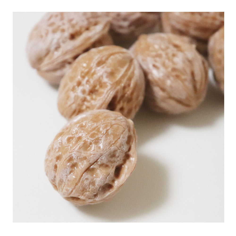 クルミ模型 くるみ 野菜模型 8個パック 食品サンプル 大きさ:約3x3x4cm