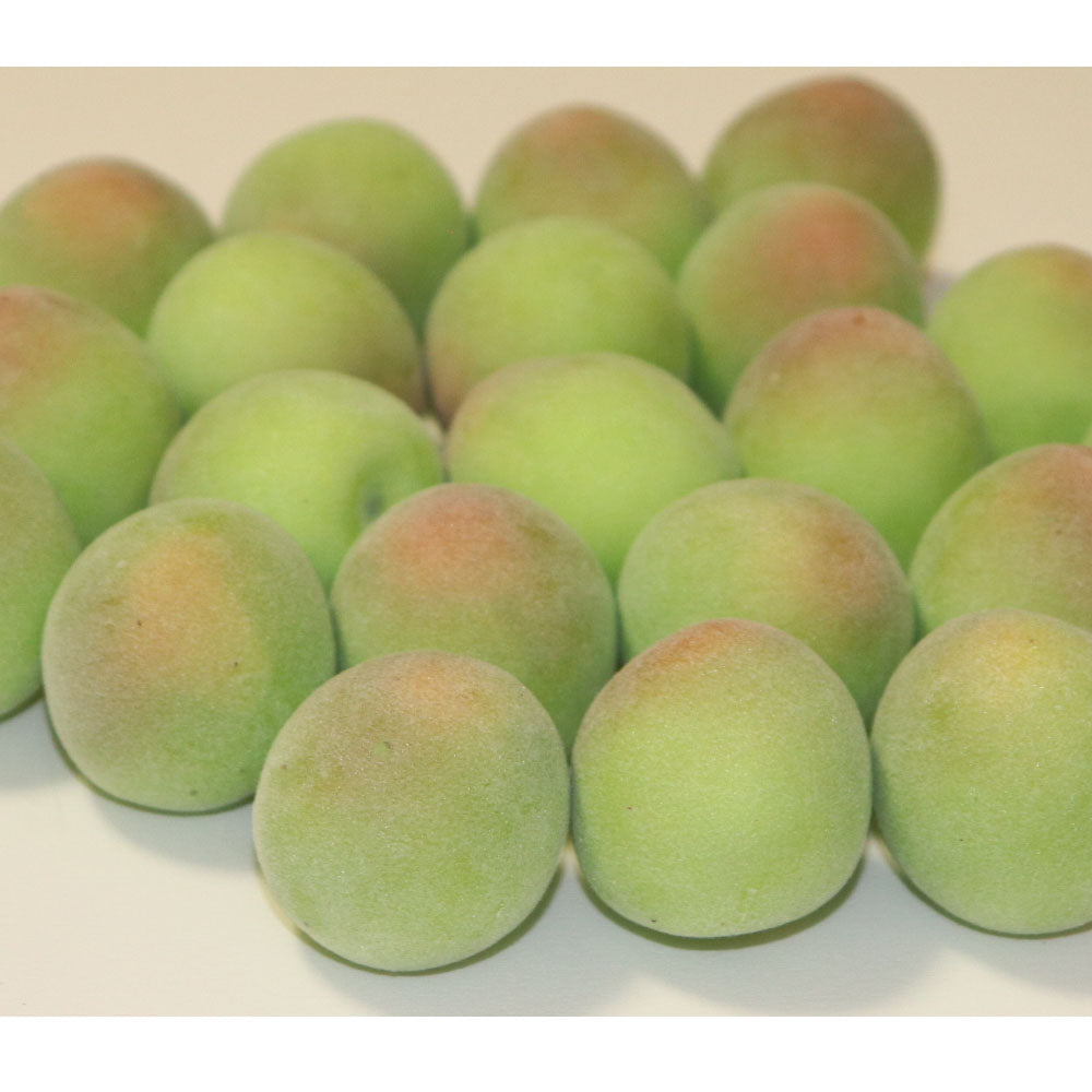 梅 ウメ 果物・野菜模型 12個パック 食品サンプル模型 1個あたり製品寸法:約3x3x3cm
