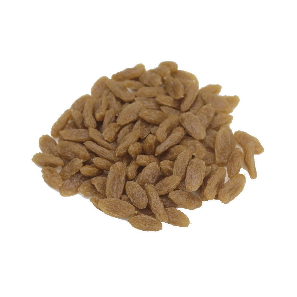 干しブドウ模型 レーズン ぶどう 100粒入りパック 食品サンプル 食品模型 カラー:グリーン