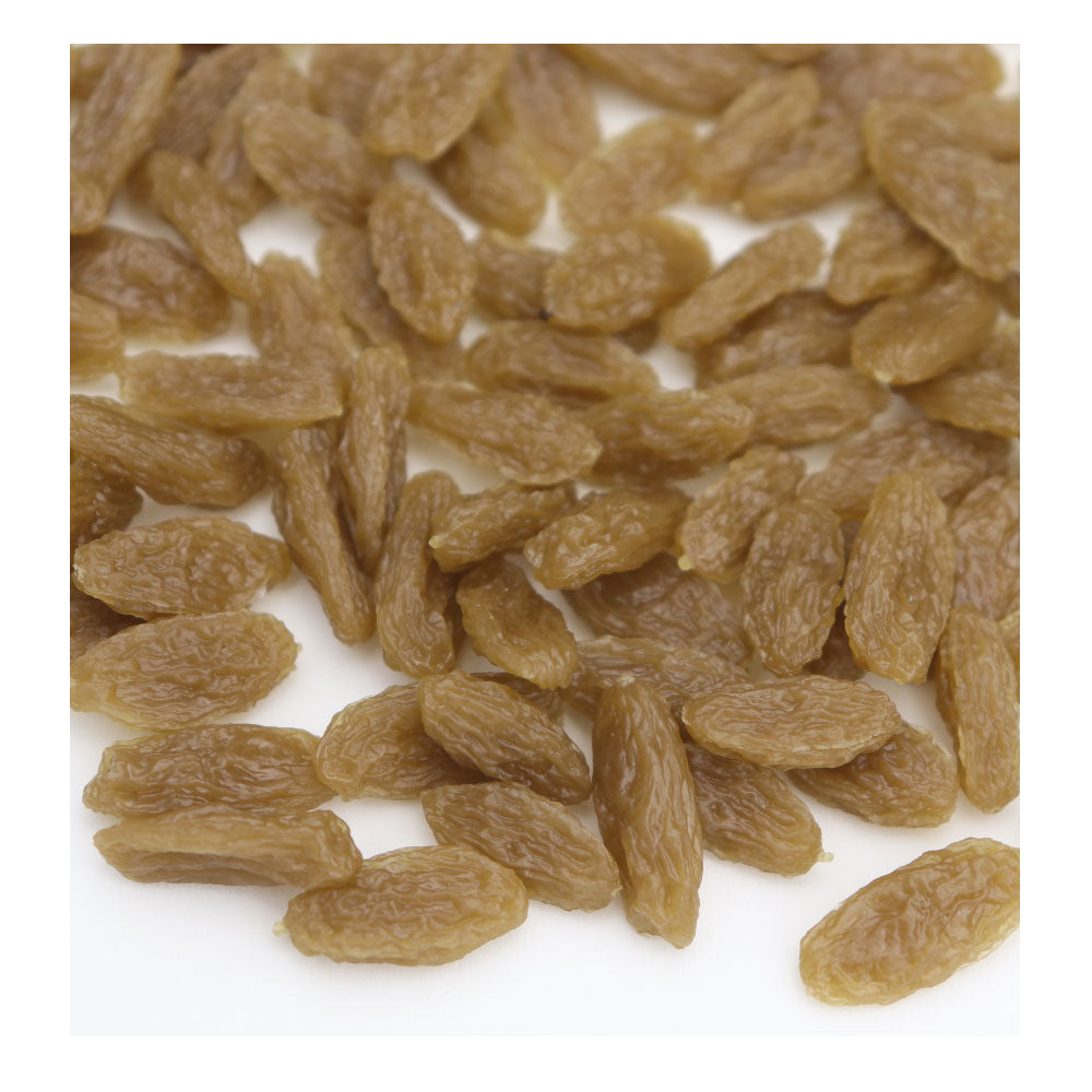 干しブドウ模型 レーズン ぶどう 100粒入りパック 食品サンプル 食品模型 カラー:グリーン