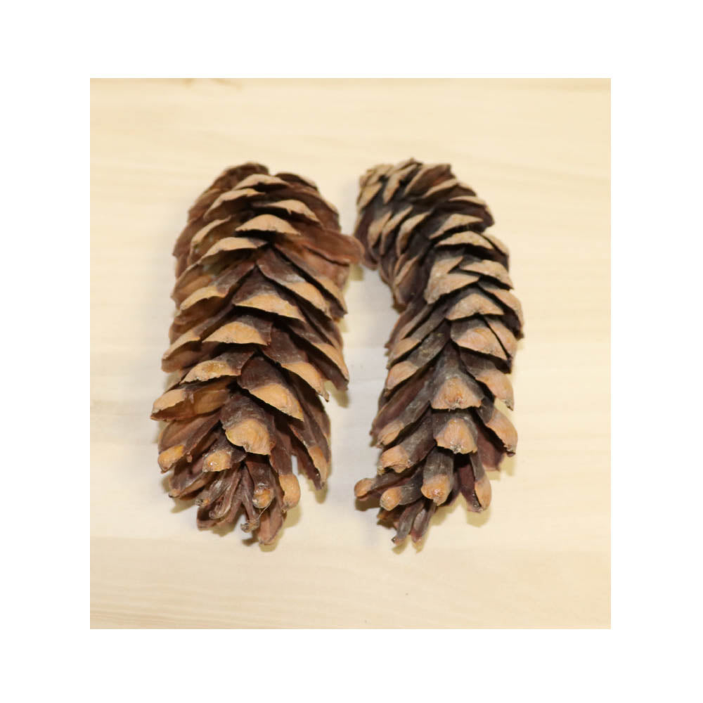 松ぼっくり 松かさ 造花 ドライフラワー 5個 飾りつけ・クリスマス・リース用 タイプA