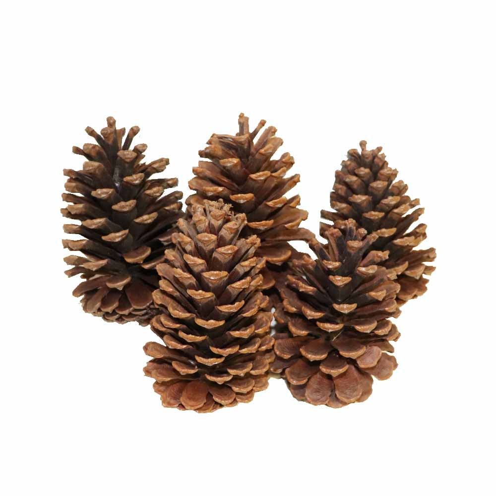 松ぼっくり 松かさ 造花 ドライフラワー 5個 飾りつけ・クリスマス・リース用 タイプB