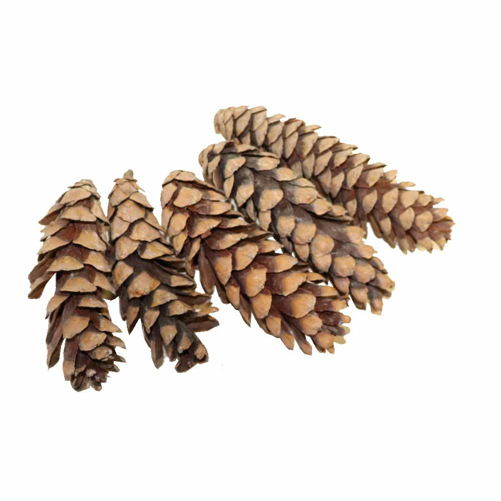 松ぼっくり 松かさ 造花 ドライフラワー 5個 飾りつけ・クリスマス・リース用 タイプA