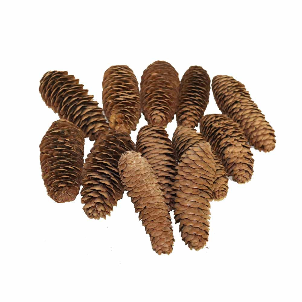 松ぼっくり 松かさ 造花 ドライフラワー 12個 飾りつけ・クリスマス・リース用 タイプC