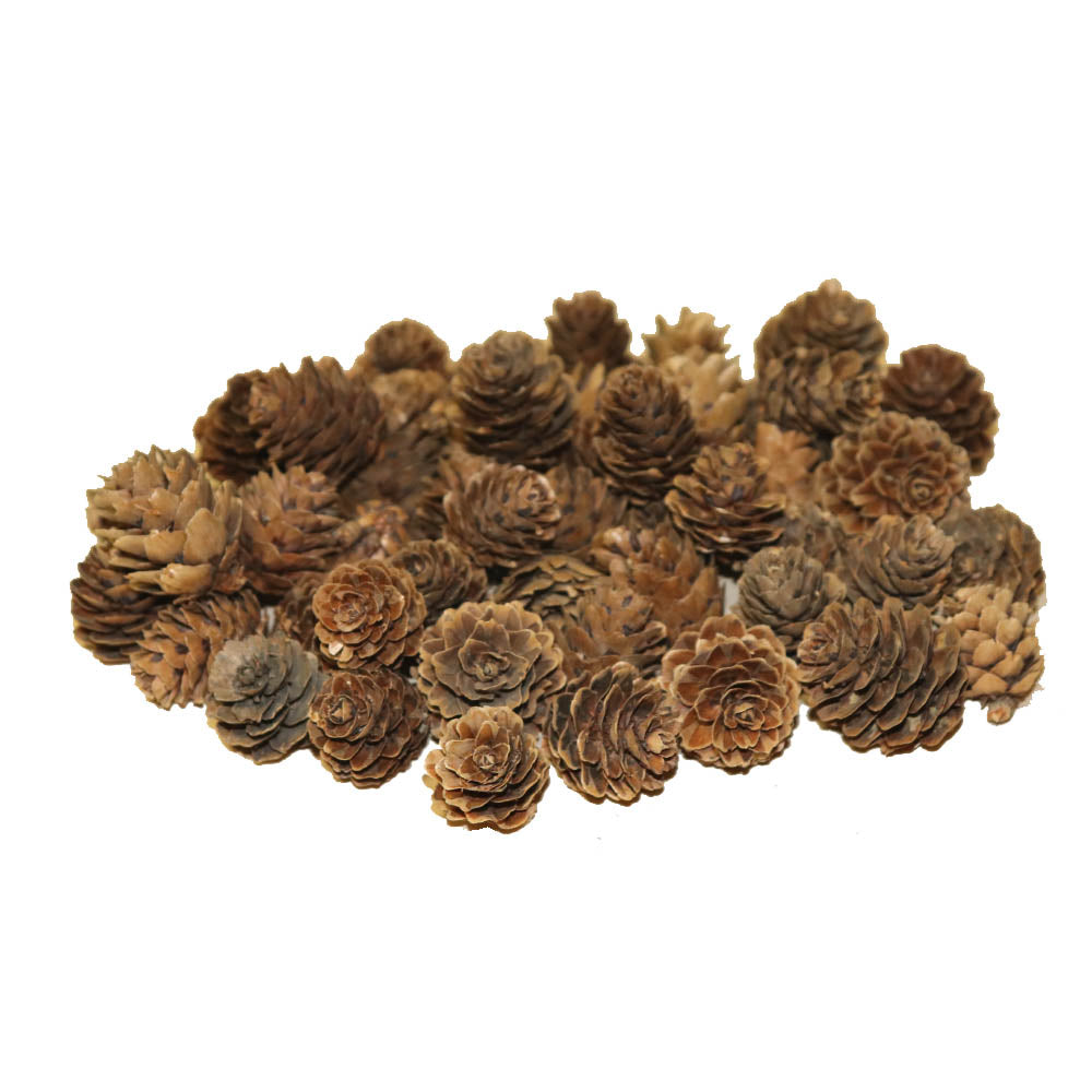 松ぼっくり 松かさ 造花 ドライフラワー 50個 飾りつけ・クリスマス・リース用 タイプD