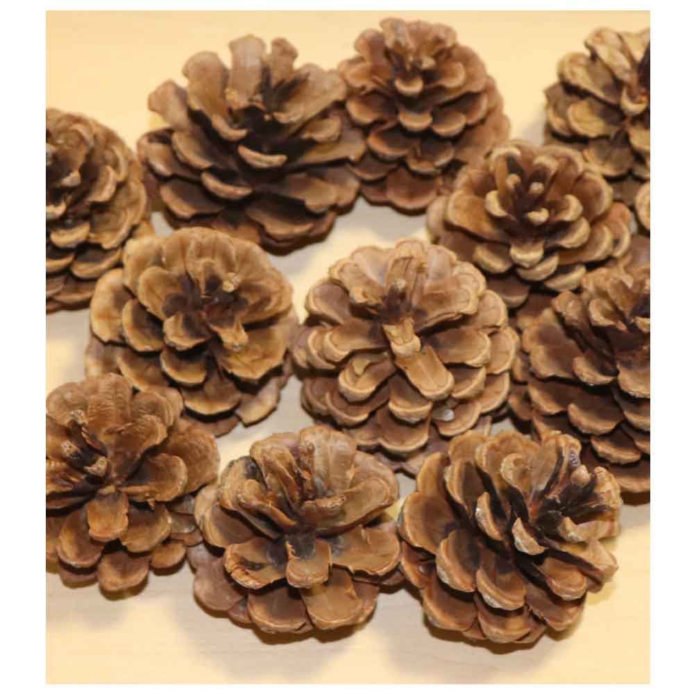 松ぼっくり 松かさ 造花 ドライフラワー 12個 飾りつけ・クリスマス・リース用 タイプE