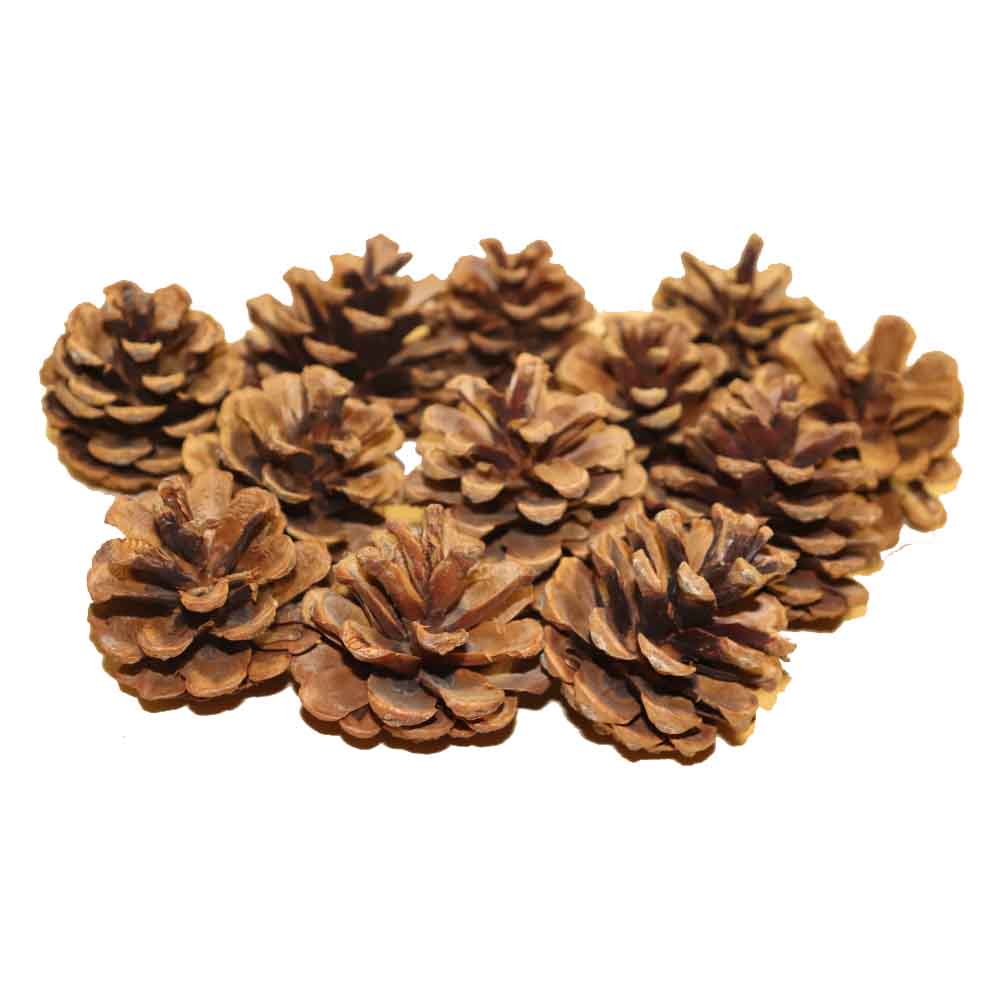 松ぼっくり 松かさ 造花 ドライフラワー 12個 飾りつけ・クリスマス・リース用 タイプE