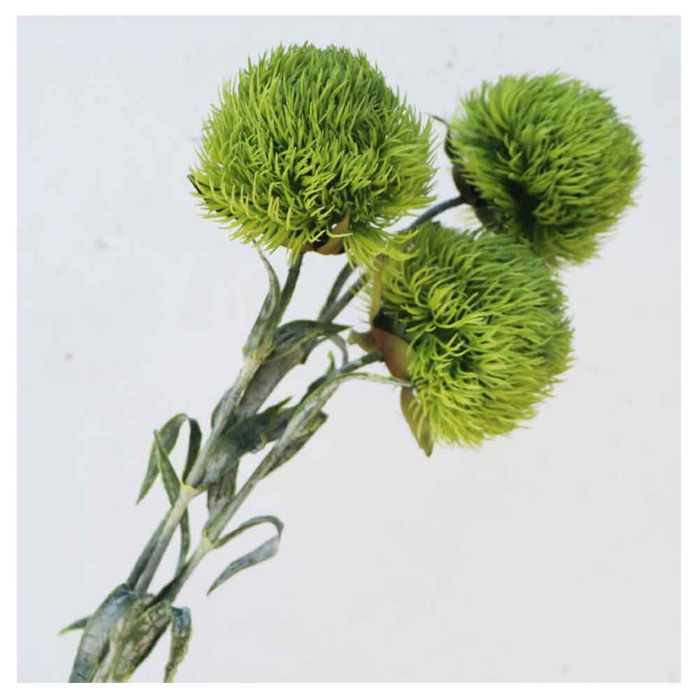 造花・フラワー 3本セット 観葉植物 フェイクグリーン カラー:ライトグリーン 花の大きさ約8x8cm、全体長さ約55cm