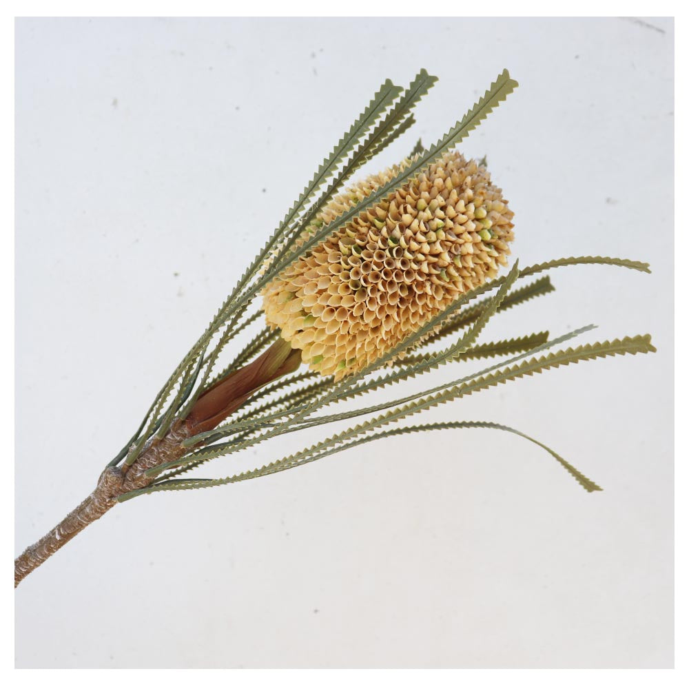 バンクシア 造花 フェイクグリーン 飾り付け インテリア ディスプレイ 1本 商品サイズ:長さ約70cm