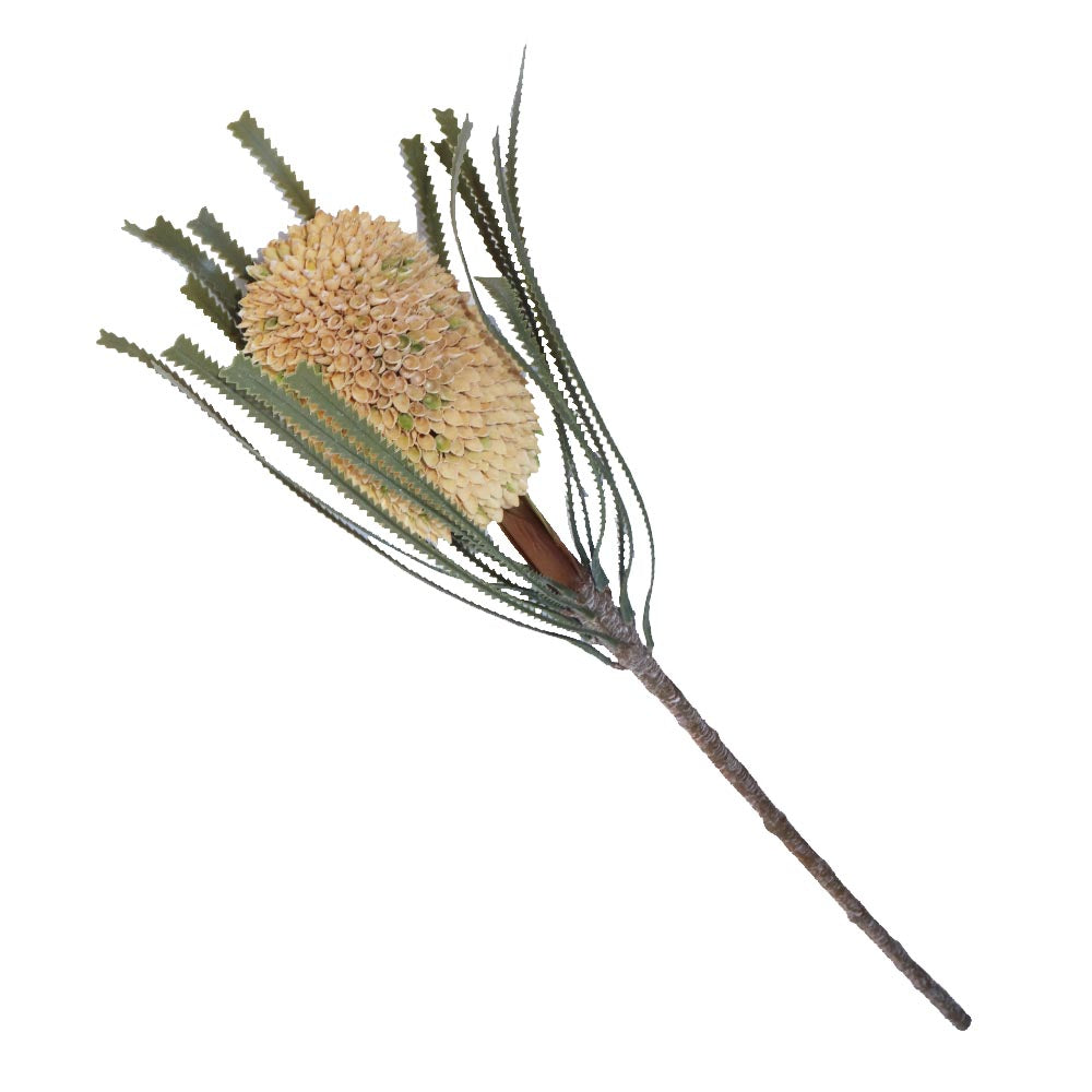 バンクシア 造花 フェイクグリーン 飾り付け インテリア ディスプレイ 1本 商品サイズ:長さ約70cm