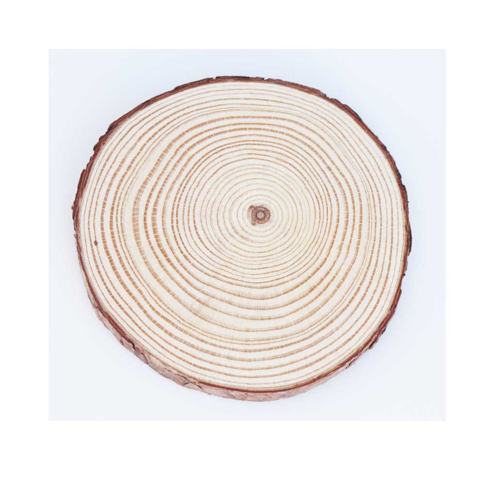木片 丸太スライス 切り株風ディスプレイ 飾りつけ デコレーション ドライフラワー 花材 1個 大きさ:直径約14~16cm 厚み約1.8cm