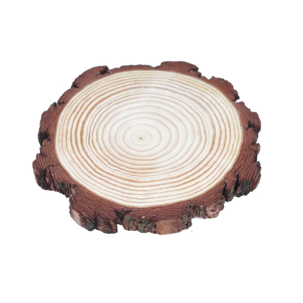木片 丸太スライス 切り株風ディスプレイ 飾りつけ デコレーション ドライフラワー 花材 1個 大きさ:直径約16~18cm 厚み約1.8cm