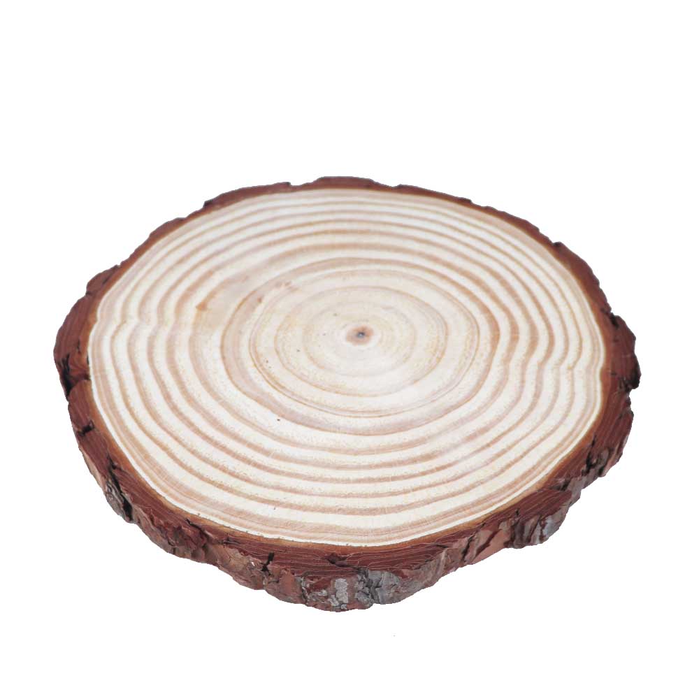 木片 丸太スライス 切り株風ディスプレイ 飾りつけ デコレーション ドライフラワー 花材 1個 大きさ:直径約18~21cm 厚み約1.8cm