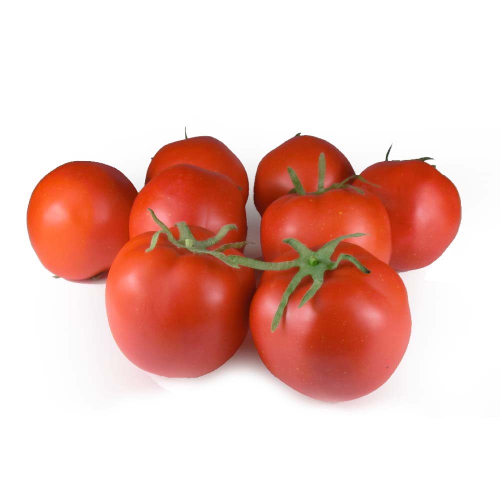 トマト　模型　とまと　真っ赤な完熟トマト　8個パック　食品サンプル