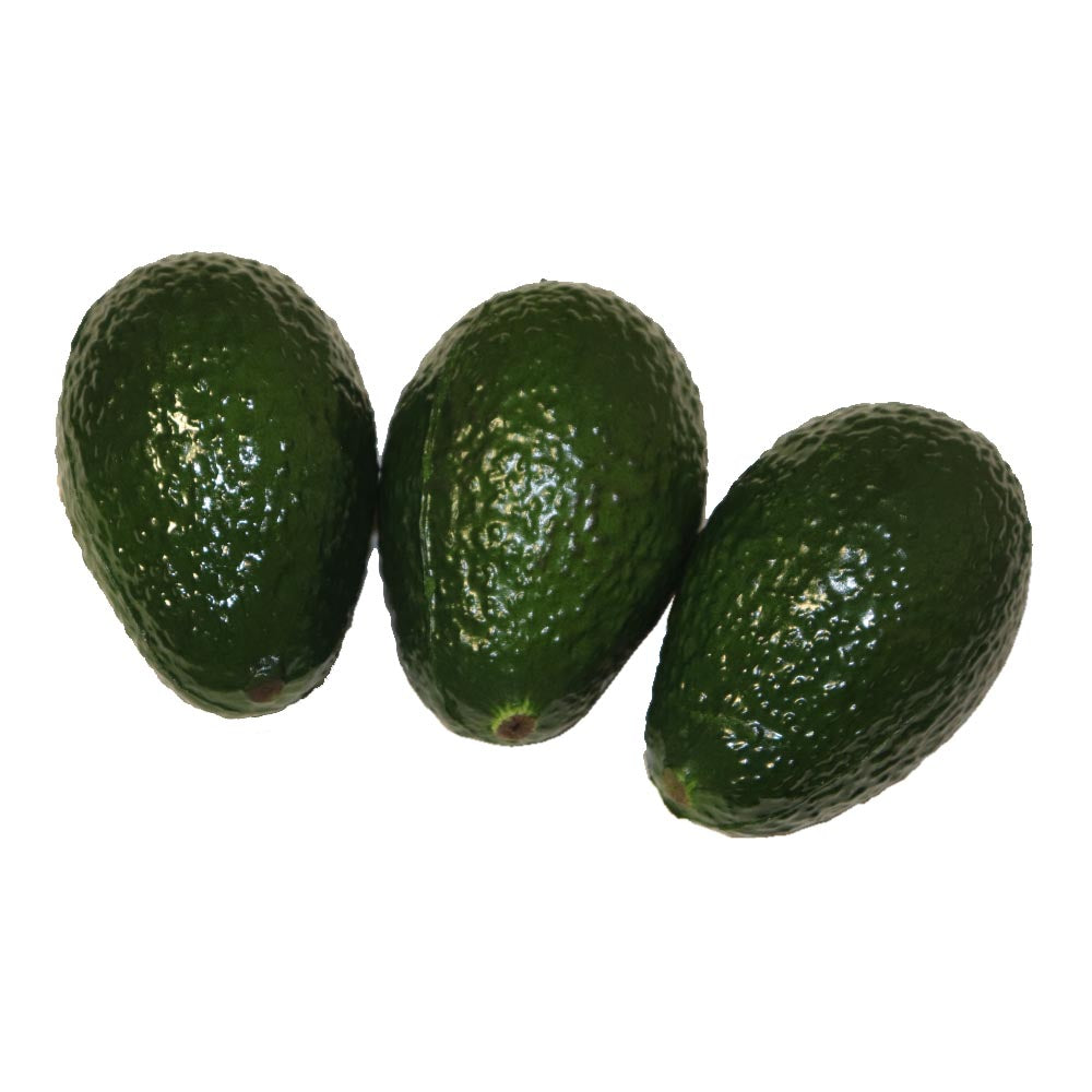 アボカド　本物そっくりな果物・野菜模型　3個パック　食品サンプル　タイプEX