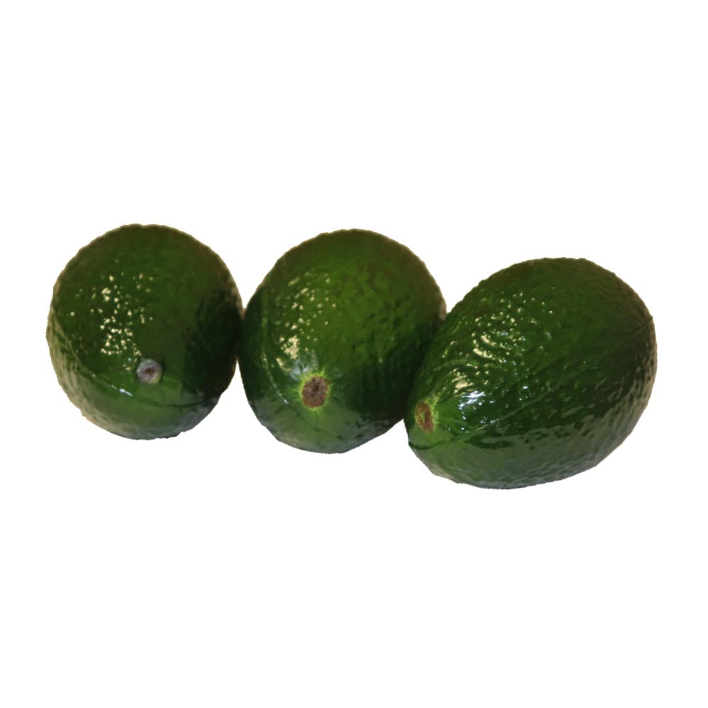アボカド　本物そっくりな果物・野菜模型　3個パック　食品サンプル　タイプEX