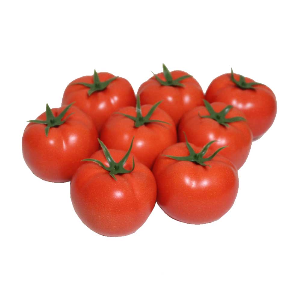 トマト　模型　大ぶりのサイズ　8個パック　食品サンプル　カラー：レッド大 製品寸法：約8x8x7cm　軽量タイプ約20g