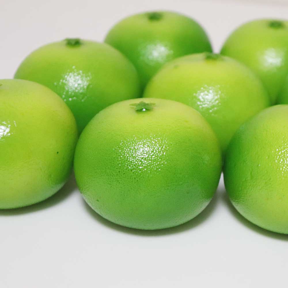 みかん模型 果物模型 本物そっくりの模型 8個パック 食品サンプル　タイプ（軽量・グリーン）