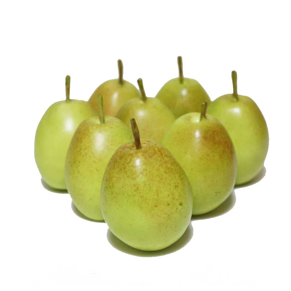 洋梨模型　洋なし　梨　本物そっくりな模型　8個セット　食品サンプル　果物模型　（グリーンEX）