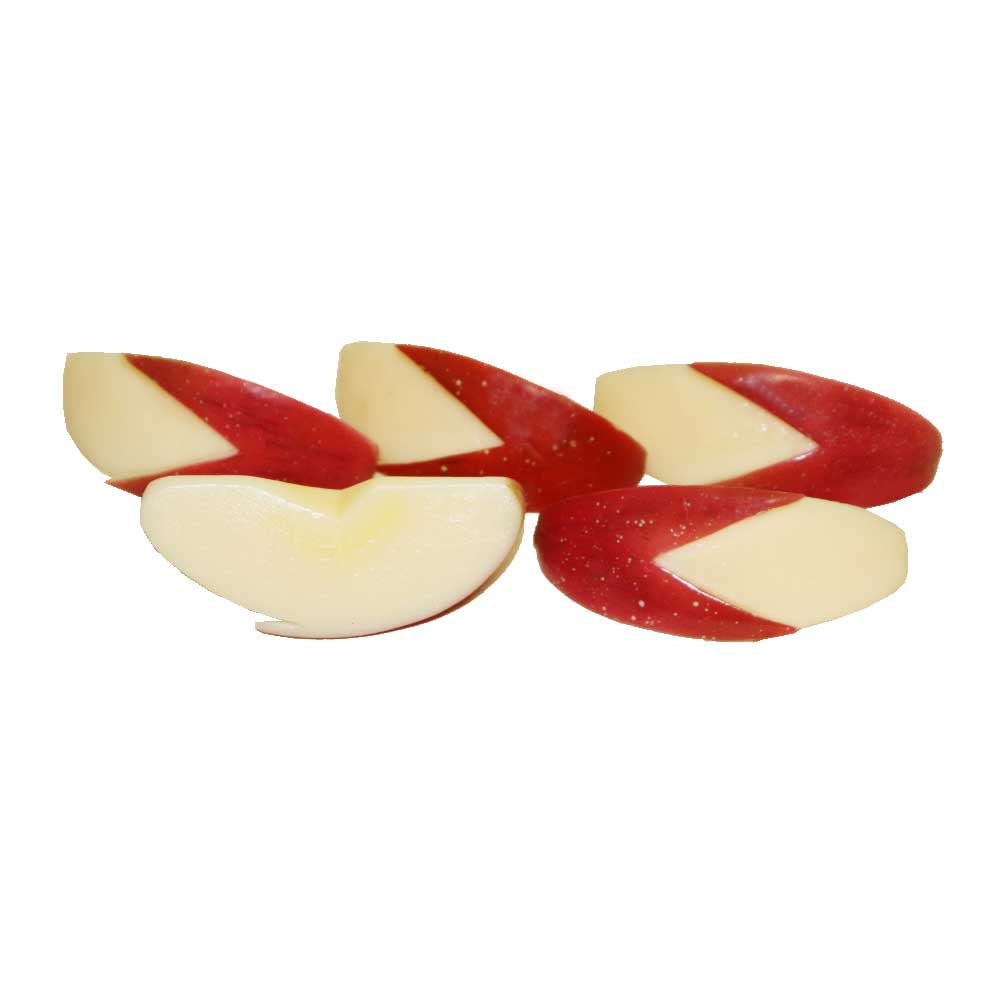 カットりんご　模型　りんご　5個パック　食品サンプル　食品模型　赤