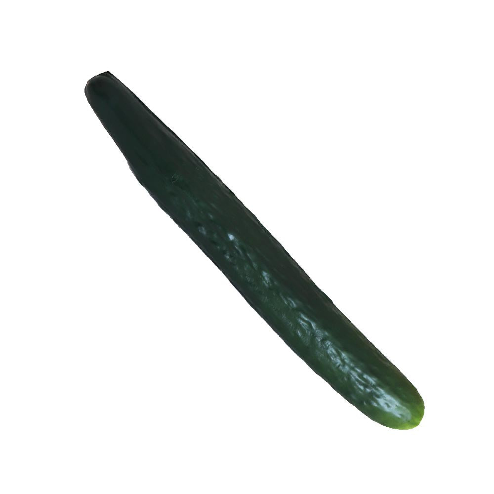 きゅうり模型　野菜模型　１本　 グリーン　食品サンプル模型　商品サイズ：約16x4x4cm